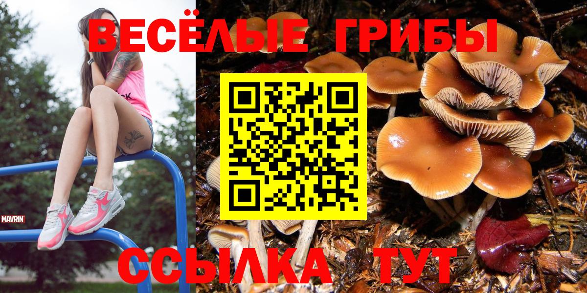 Псилоцибиновые грибы мухоморы  Вход с VPN  Ипатово 