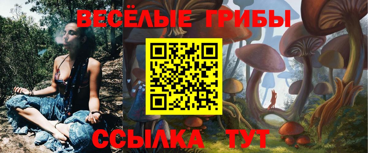 Галлюциногенные грибы Cubensis Ипатово